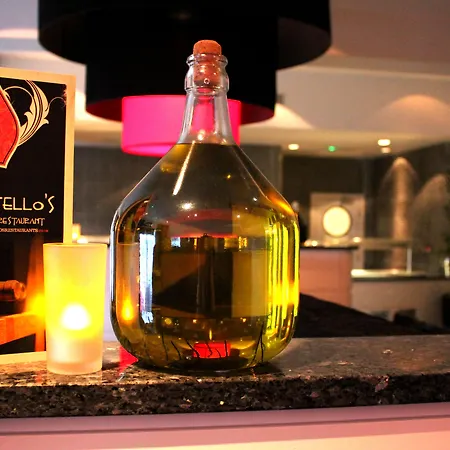 ホテル ホリデイ・イン ダーリントン A1 スコッチ コーナー 4*